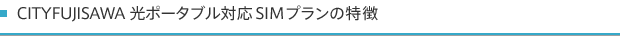 CITYFUJISAWA 光ポータブル対応SIMプランの特徴